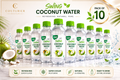 Paper Boat Swing Coconut Water Drink | Pack of 10 Bottles | Refreshing Natural Fruit Drink - Couturier Design