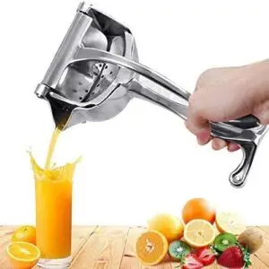 Fruit Juicer